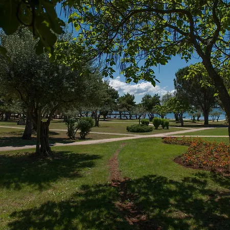 Maistra Select Rubin