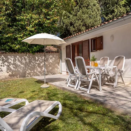 Maistra Select Rubin