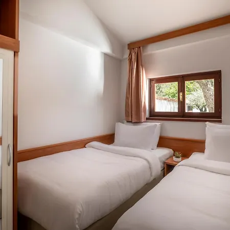 Pribjeći Maistra Select Rubin 3*