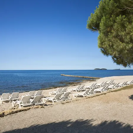 Pribjeći Maistra Select Rubin 3*