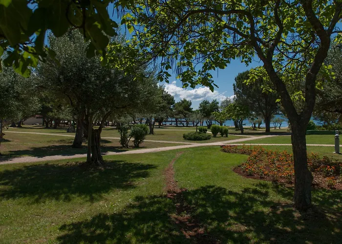 Maistra Select Rubin