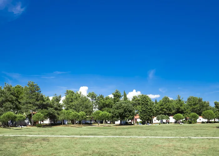 Maistra Select Rubin רוביני