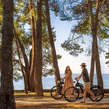 Maistra Select Rubin 3*