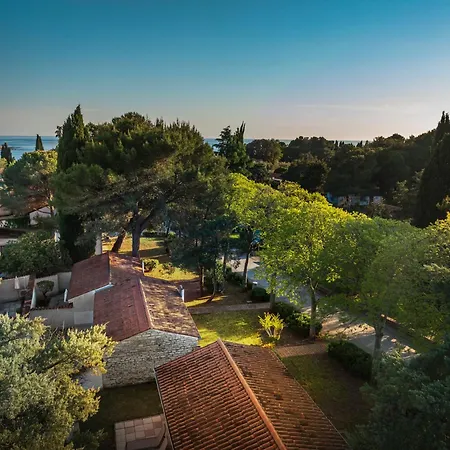 Maistra Select Rubin 罗维尼